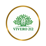 Diseño sin título (63)