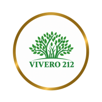 Diseño sin título (63)
